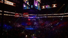 Estas son las peleas más importantes de hoy, sábado 1 de noviembre.